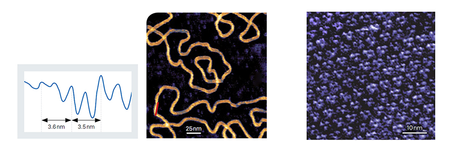 AFM Nano 案例合2.jpg