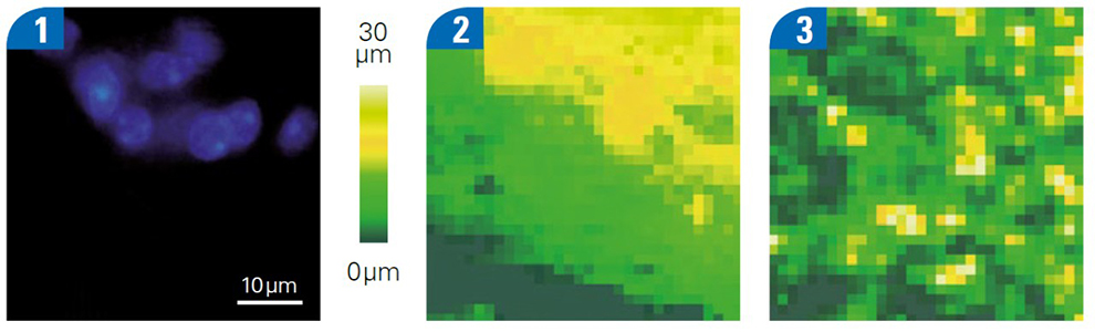 AFM Nano 案例合3.jpeg